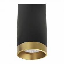  CMC2-TRM-AG - 2" CEILING MOUNT CYLINDER TRIM, ANODIZED GOLD