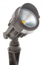 Westgate MFG C2 LF12-6W-27K-KN - 12-VOLT AC/DC LED GARDEN LIGHT