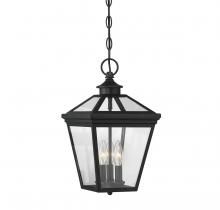  5-146-BK - Ellijay 3-Light Outdoor Hanging Lantern in Black