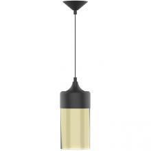  E80073-001 - Chagall Pendant 1-Light Ceiling Hanging Modern Black Finish With Clear Glass shade