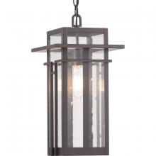  P550039-020 - Boxwood Collection One-Light Hanging Lantern