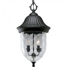  P5529-31 - Coventry Collection Two-Light Hanging Lantern