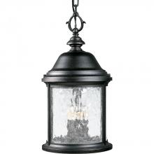  P5550-31 - Ashmore Collection Three-Light Hanging Lantern