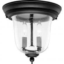  P5562-31 - Ashmore Collection Two-Light 10-1/2" Close-to-Ceiling