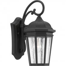  P560014-031 - Verdae Collection One-Light Small Wall-Lantern