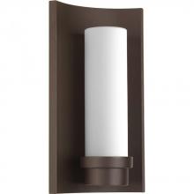  P560030-129-30 - Z-1020 Collection One-Light LED Wall Lantern