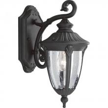  P5820-31 - Meridian Collection One-Light Small Wall Lantern