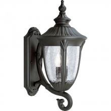  P5823-31 - Meridian Collection Two-Light Large Wall Lantern
