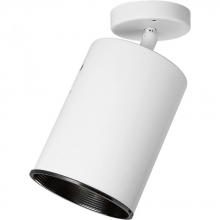 Progress P6397-30 - One-Light Multi Directional Wall/Ceiling Heat Lamp