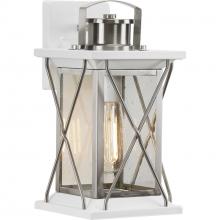  P560156-135 - Barlowe Collection Stainless Steel One-Light Small Wall Lantern