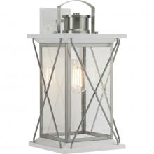 P560158-135 - Barlowe Collection Stainless Steel One-Light Large Wall Lantern
