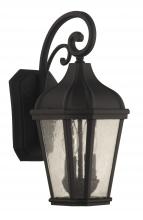  ZA3014-TB - Briarwick 2 Light Medium Outdoor Wall Lantern in Textured Black