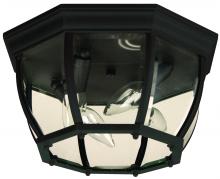  Z434-TB - Bent Glass 4 Light Outdoor Flushmount in Textured Black