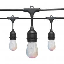 Satco Products Inc. S11288 - 10W/LED/STRING/RGBW/SF