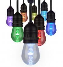 Satco Products Inc. S11290 - 24FT/LED/SL/S14/SF/RGBW/12