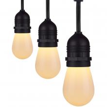 Satco Products Inc. S11292 - 24FT/LED/SL/S14/SF/TW/12