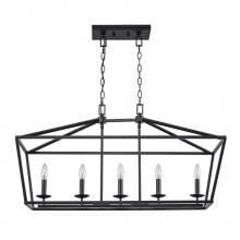  10263 BK - Lacey 12" Pendant Style Cage Chandelier