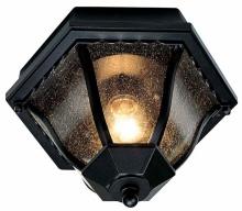 Trans Globe 4558 BK - 1LT FLUSH-OUTD-CLEAR SEEDED GL