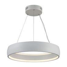  MDN-1559 WH - Halo Collection LED Glass Ring Pendant Light