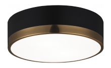 Matteo Lighting M14302BKAG - Trydor Black, Aged Gold Brass Ceiling Mount