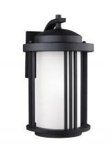 8747901-12 - Crowell contemporary 1-light outdoor exterior medium wall lantern sconce in black finish with satin