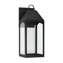  946321BK-GL - 1 Light Outdoor Wall Lantern