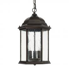  9836OB - 3 Light Outdoor Hanging Lantern