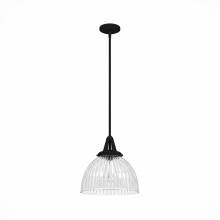  19249 - Hunter Cypress Grove Natural Black Iron with Clear Holophane Glass 1 Light Pendant Ceiling Light Fix