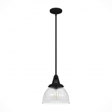  19247 - Hunter Cypress Grove Natural Black Iron with Clear Holophane Glass 1 Light Pendant Ceiling Light Fix