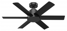  59613 - Hunter 44 inch Kennicott Matte Black Damp Rated Ceiling Fan and Wall Control