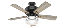 54149 - Hunter 44 inch Cedar Key Matte Black Damp Rated Ceiling Fan with LED Light Kit and Handheld Remote