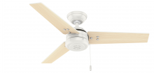  50262 - Hunter 44 inch Cassius Fresh White Damp Rated Ceiling Fan and Pull Chain