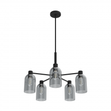  19198 - Hunter Lochemeade Natural Black Iron with Smoked Glass 5 Light Chandelier Ceiling Light Fixture