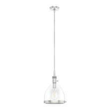  19346 - Hunter Van Nuys Brushed Nickel with Clear Glass 1 Light Pendant Ceiling Light Fixture