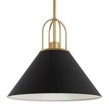  13165 - Hunter Carrington Isle Flat Matte Black and Luxe Gold 1 Light Pendant Ceiling Light Fixture