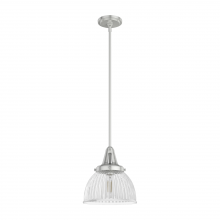  19328 - Hunter Cypress Grove Brushed Nickel with Clear Holophane Glass 1 Light Pendant Ceiling Light Fixture