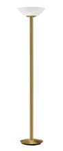  409800308 - Light Cannon Floor Lamp