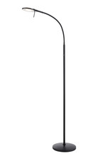  425840135 - Dessau Flex Gooseneck Floor Lamp