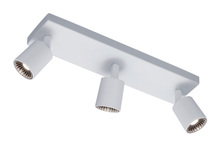 829210301 - Cayman - Ceiling Mount