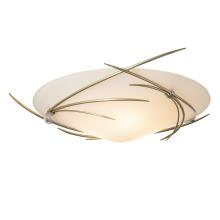 Hubbardton Forge 121620-SKT-86-GG0722 - Wisp Semi-Flush