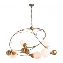 Hubbardton Forge 136421-SKT-05-GG0639 - Sprig Circular Pendant