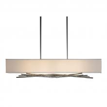 Hubbardton Forge 137660-SKT-LONG-07-SF4298 - Brindille Pendant
