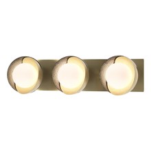  201378-SKT-86-85-GG0711 - Brooklyn 3-Light Straight Double Shade Bath Sconce