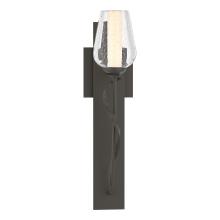  203030-SKT-07-ZS0354 - Flora Sconce