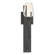  203030-SKT-20-ZS0354 - Flora Sconce