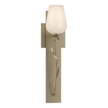  203030-SKT-84-GG0303 - Flora Sconce