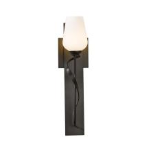  203030-SKT-86-GG0303 - Flora Sconce