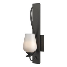  203035-SKT-20-GG0303 - Flora Sconce