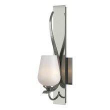  203035-SKT-85-GG0303 - Flora Sconce