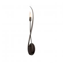  209120-SKT-07 - Willow Sconce